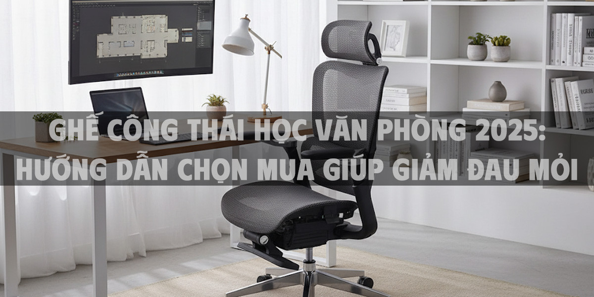 Ghế Công Thái Học Văn Phòng 2025: Hướng Dẫn Chọn Mua Giúp Giảm Đau Mỏi Và Tăng Năng Suất