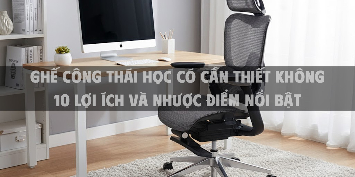 Ghế Công Thái Học Có Cần Thiết Không 10 Lợi Ích Và Nhược Điểm Nổi Bật Năm 2025