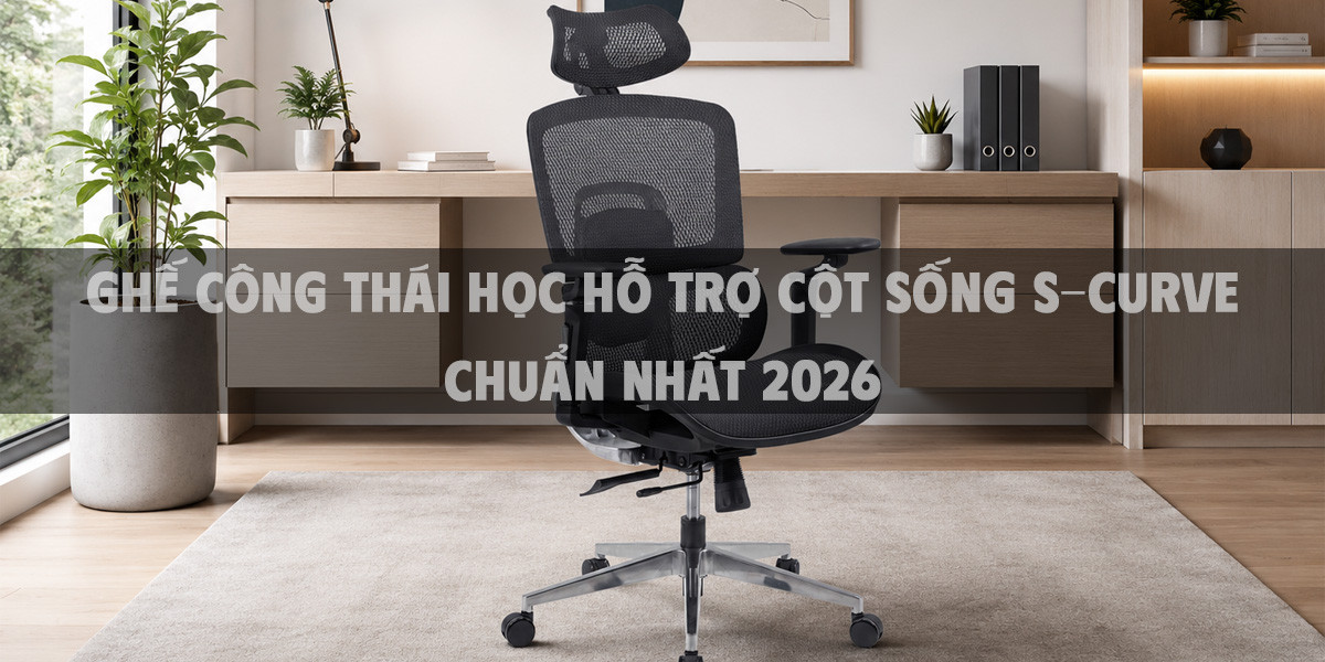 Ghế công thái học hỗ trợ cột sống S-curve chuẩn nhất 2026